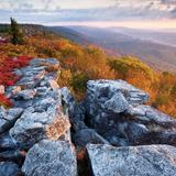 Dolly Sods Wilderness