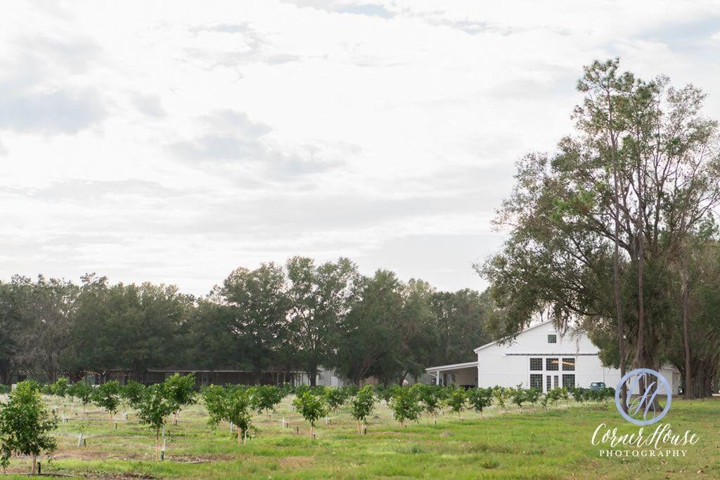 The Wedding Website of Jaclyn Elise McFadden and Phillip Matthew Rodriguez
