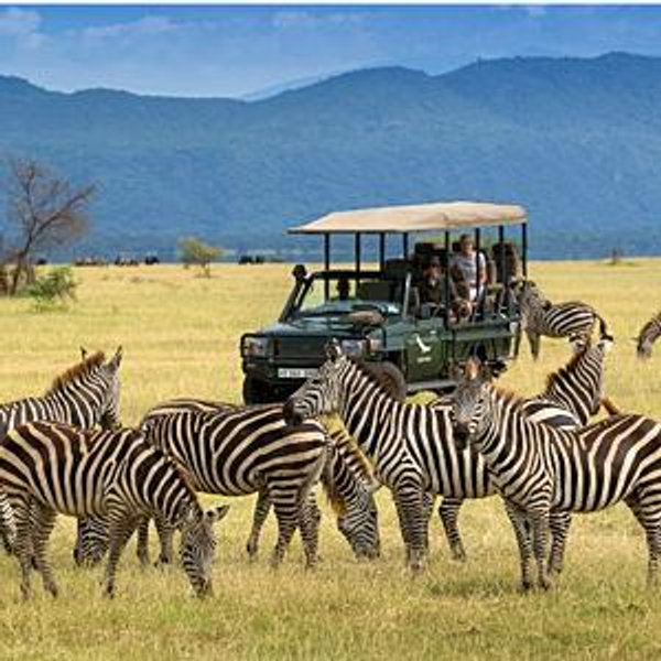 African Safari Honeymoon Fund – Kruger National Park