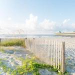 Explore the Beaches