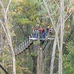 Lake Geneva Canopy Tours