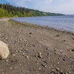 South Whidbey State Park