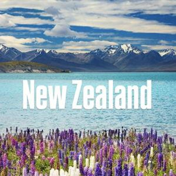 Our Honeymoon Fund to New Zealand