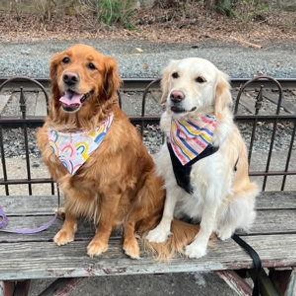 Our Golden Girls (Dani & Feebee)