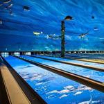 Bowling Undersea Aquarium at Uncle Buck's Fish Bowl and Grill