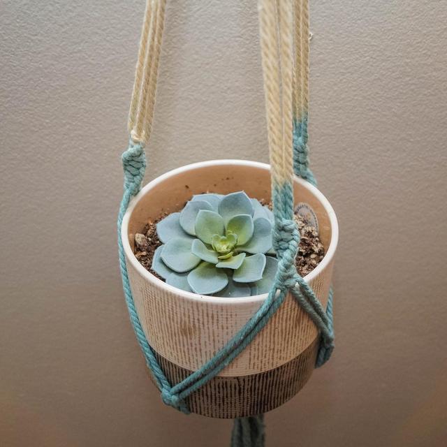 Ombre Macrame Plant Hanger Boho Plant Hanger | Hand Dyed Plant Hanger | Macrame Hanger