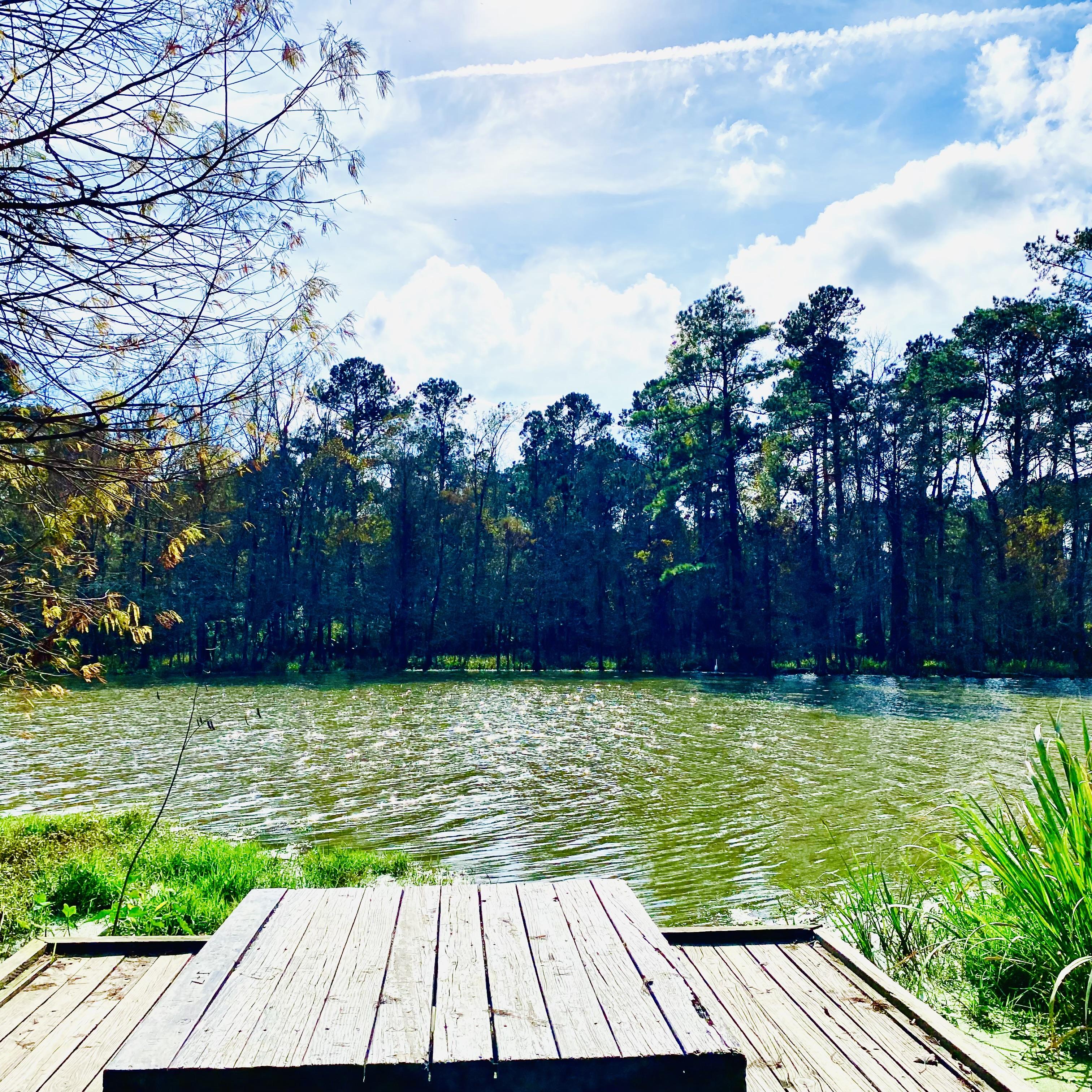 Happy place ! We enjoy this spot .