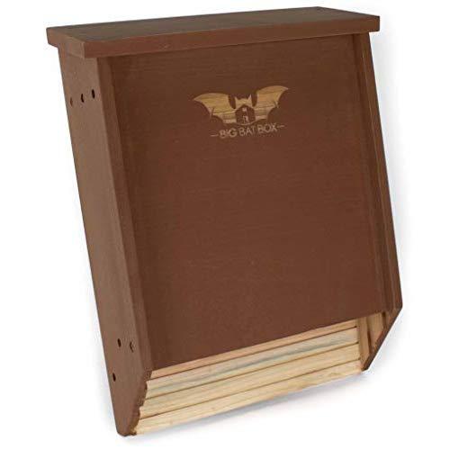 Bat House Built to Attract