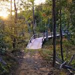 Calvert Cliffs State Park