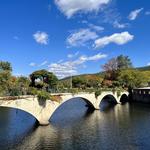 Bridge of Flowers