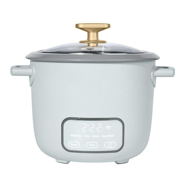 Wonderful Electric Rice Cooker 6-Cup Cooked, Ceramic Nonstick, Touch Display, Keep Warm 2 Hrs, 4 Presets, Glass Lid (Hydrangea)
