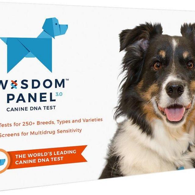 Wisdom Panel 3.0 Breed Identification Dog DNA Test Kit