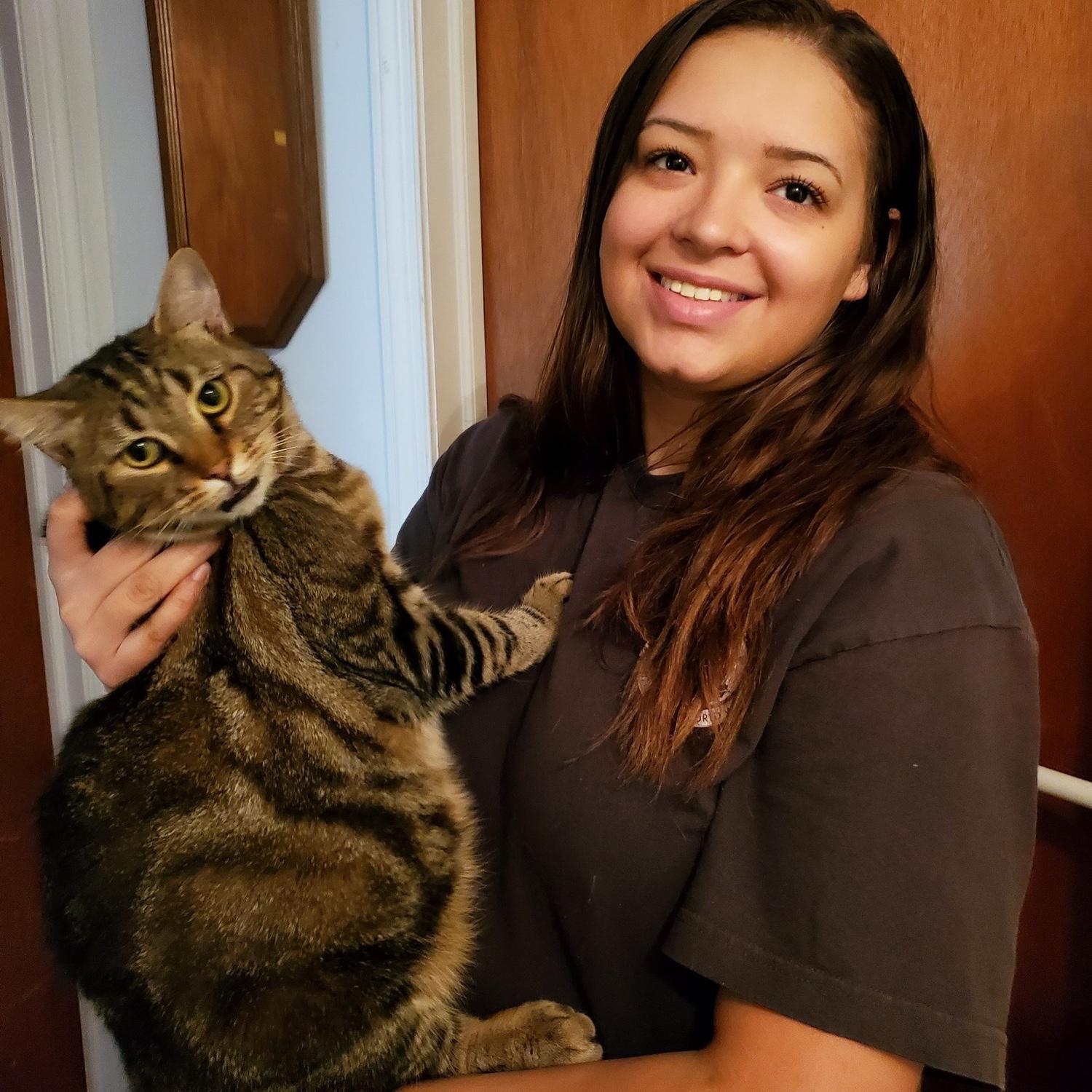 Marble the Kitty