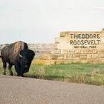 Theodore Roosevelt National Park