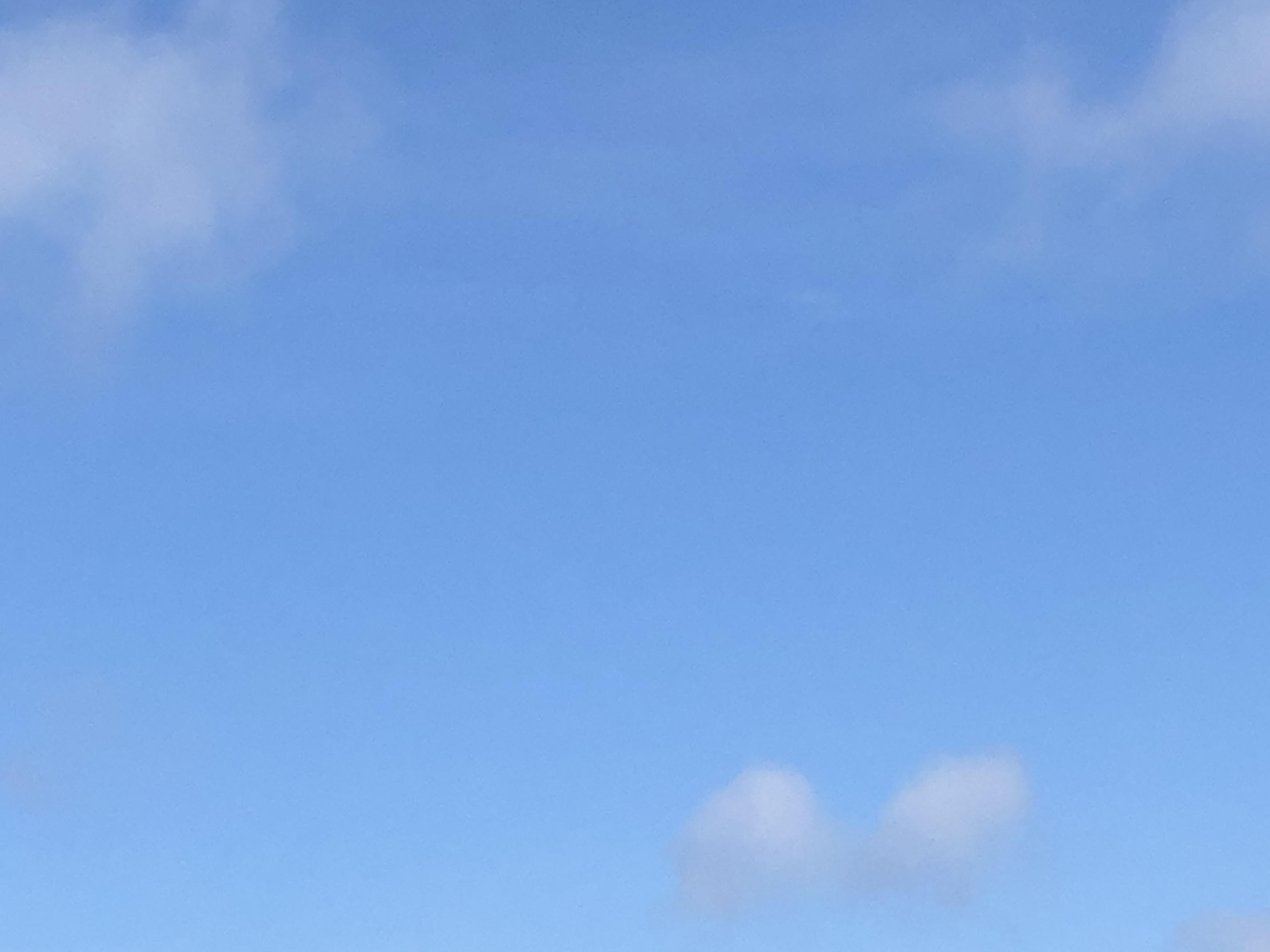 The Wedding Website of Kevin Nolan and Angela Bishop