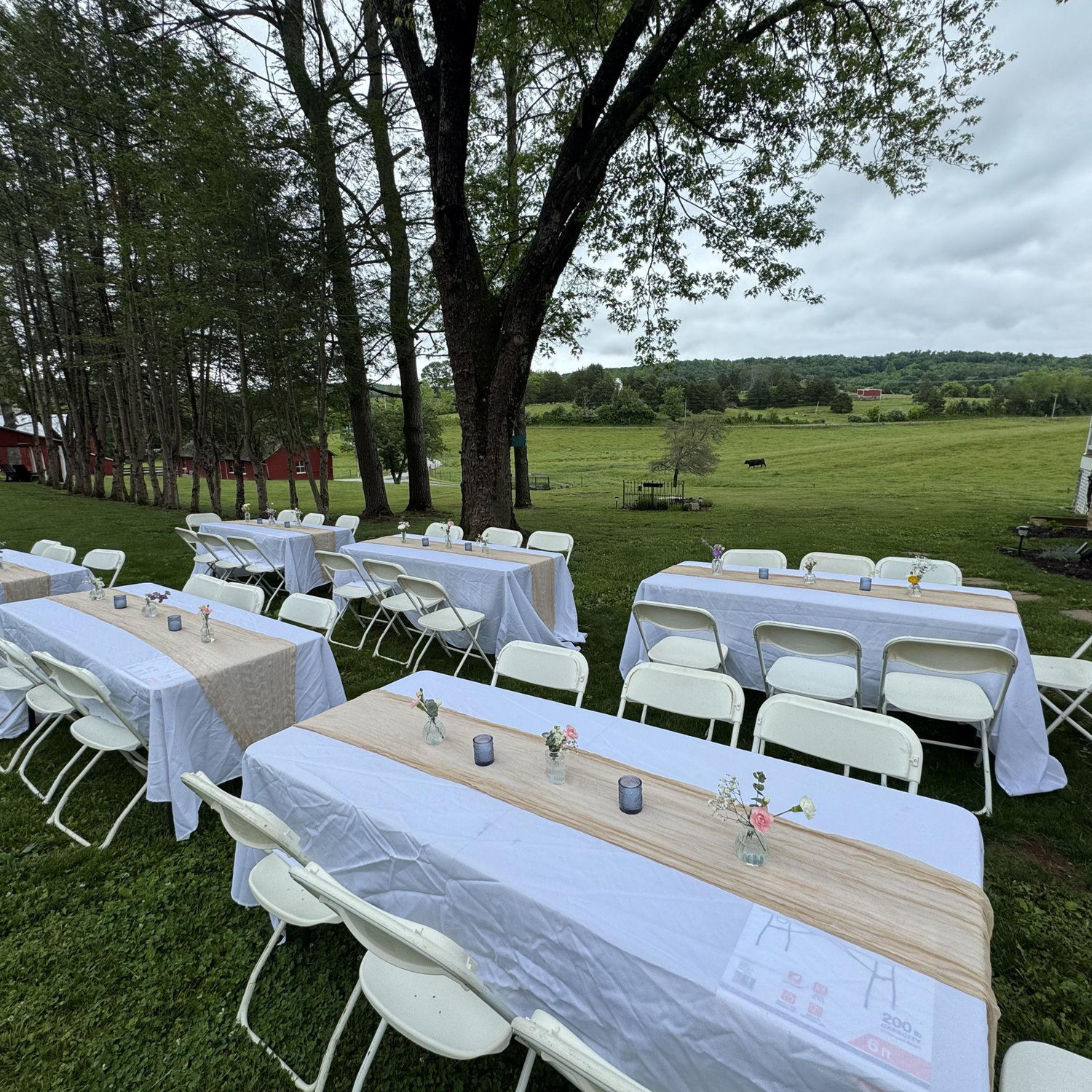 Before our dinner got rained out!