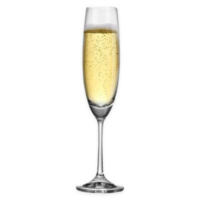Red Vanilla Barbara Fluted Champagne Glasses (Set of 6)
