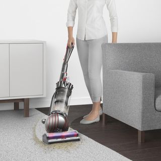 Ball Animal 3 Extra Corded Vacuum