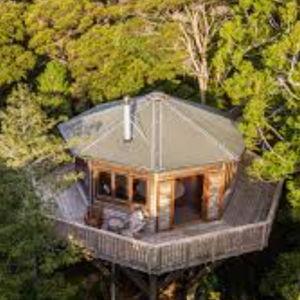 Treehouse stay