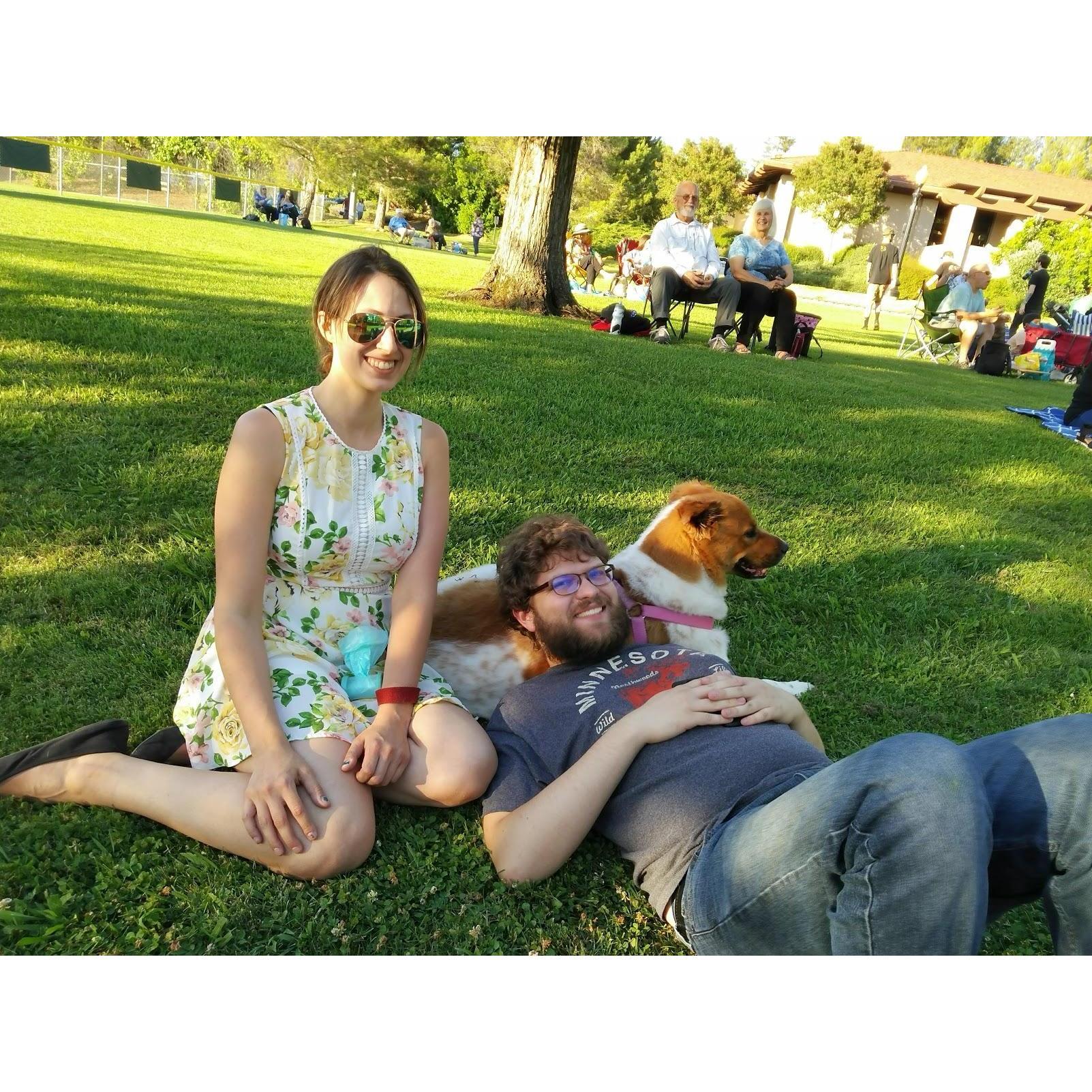 Dog is pillow
