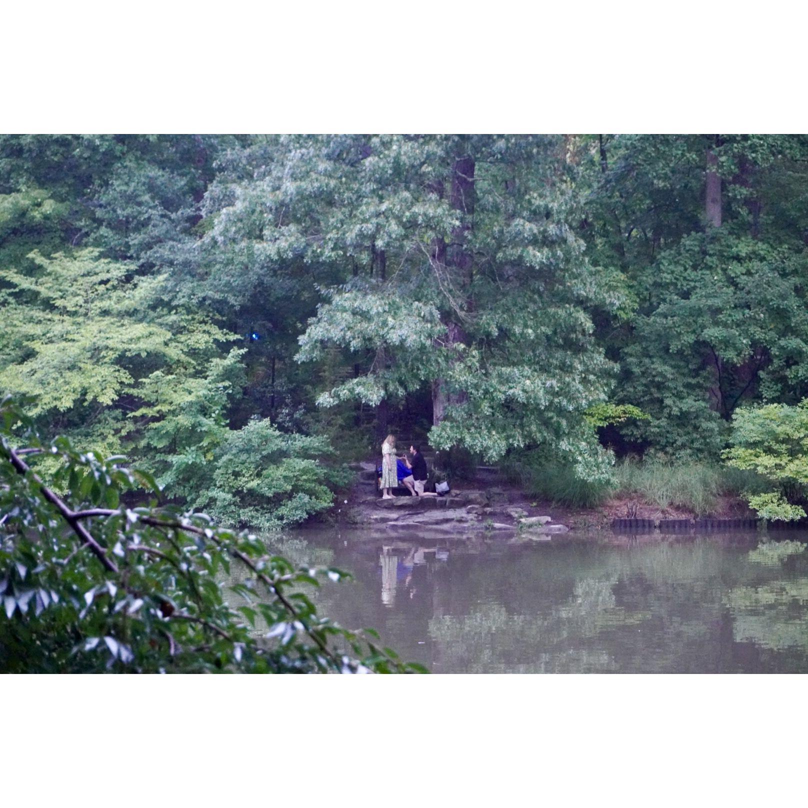 A wonderful proposal in the Duke Gardens (and 200% humidity)