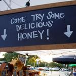 St. Augustine Amphitheatre Farmers Market