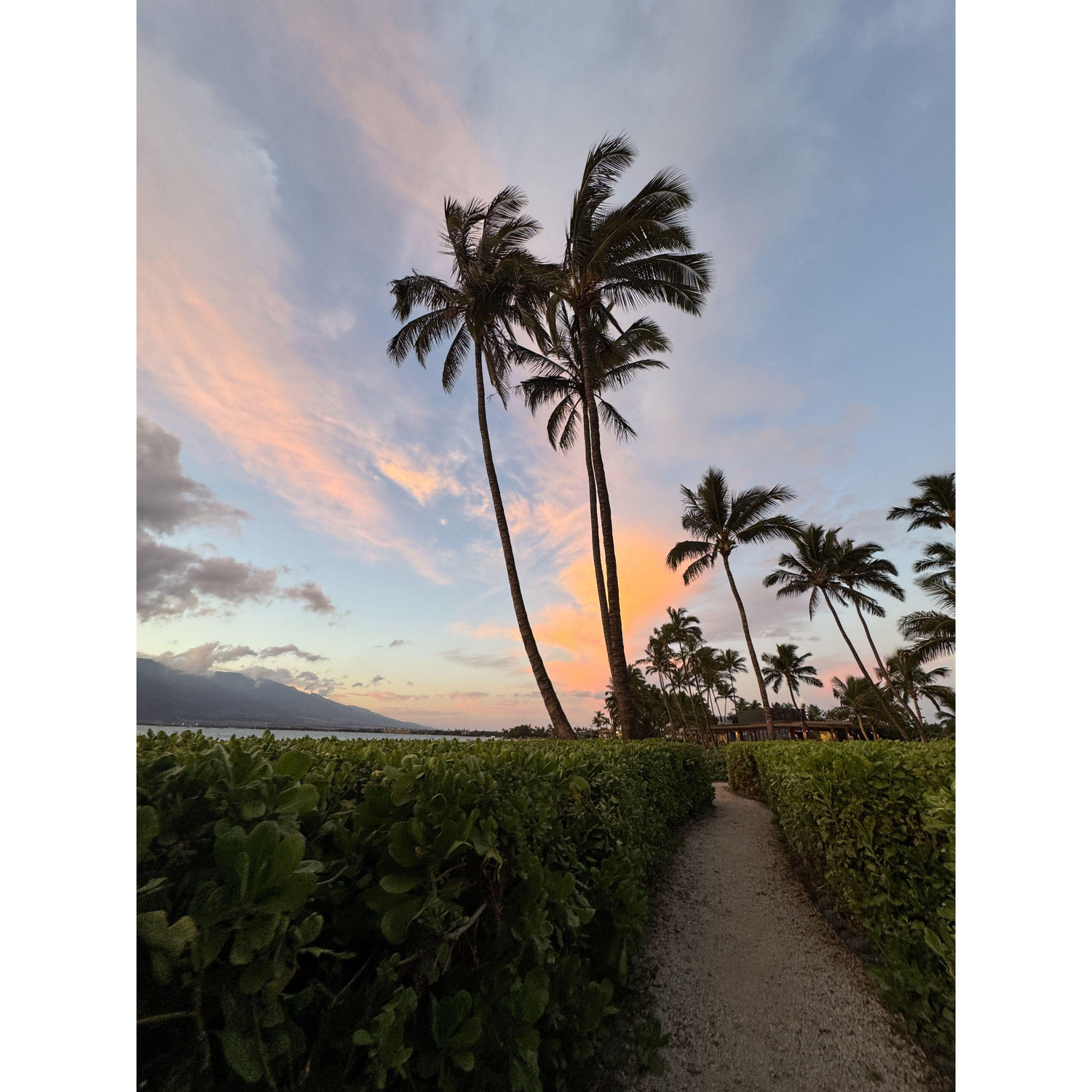 Please use the color of the Maui sky as your inspiration for the color you wear to the celebration