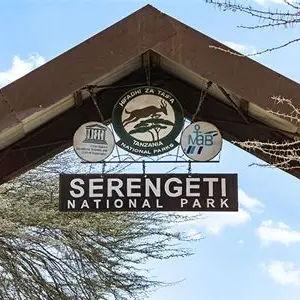 Serengeti National Park Fee - Day 5 of Safari