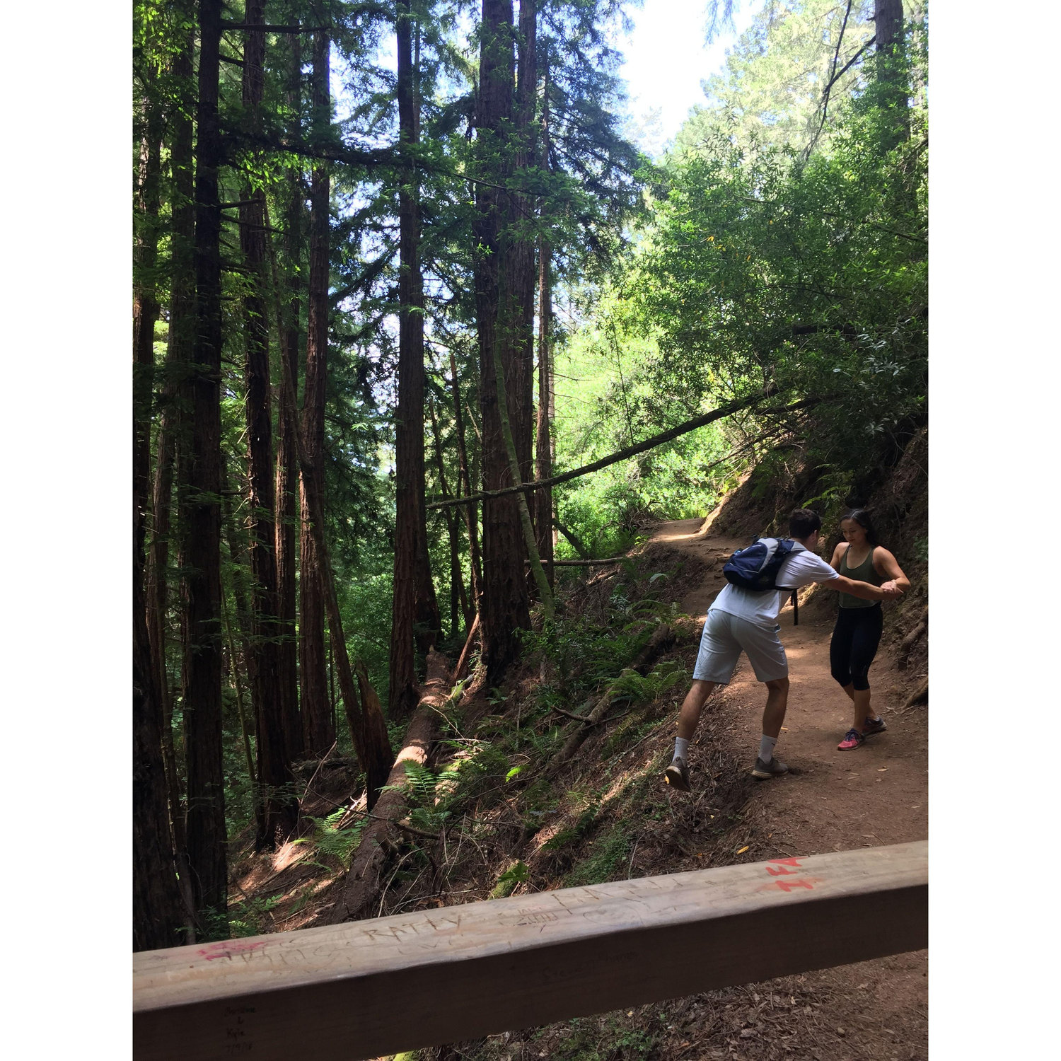 Grant pretending to fall off of the trail in the Redwoods, CA.