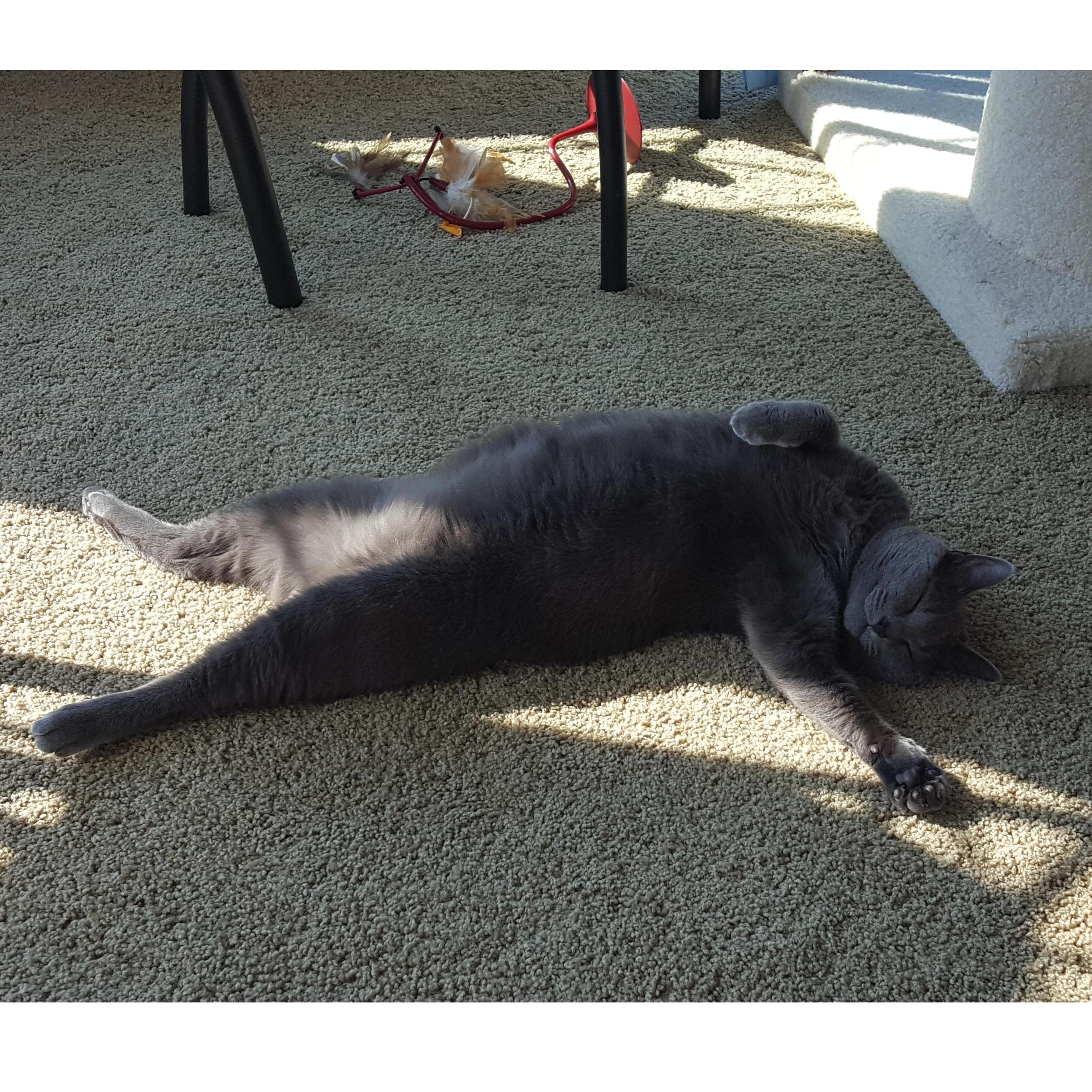 And here's a random picture of Emmie because she cracks me up and I love her.