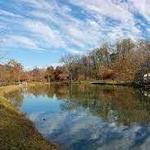 Anson B. Nixon Park
