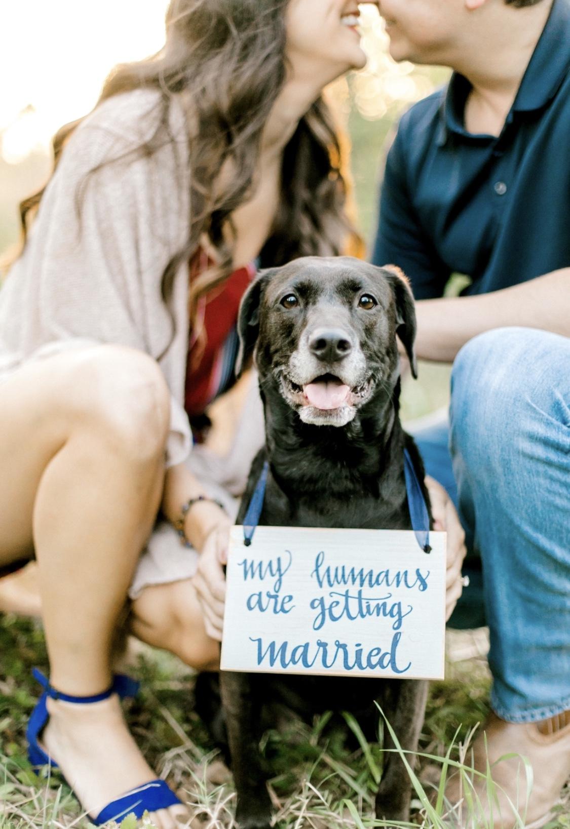 The Wedding Website of Jessica Renaudo and Payton den Herder