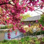 Naperville Riverwalk