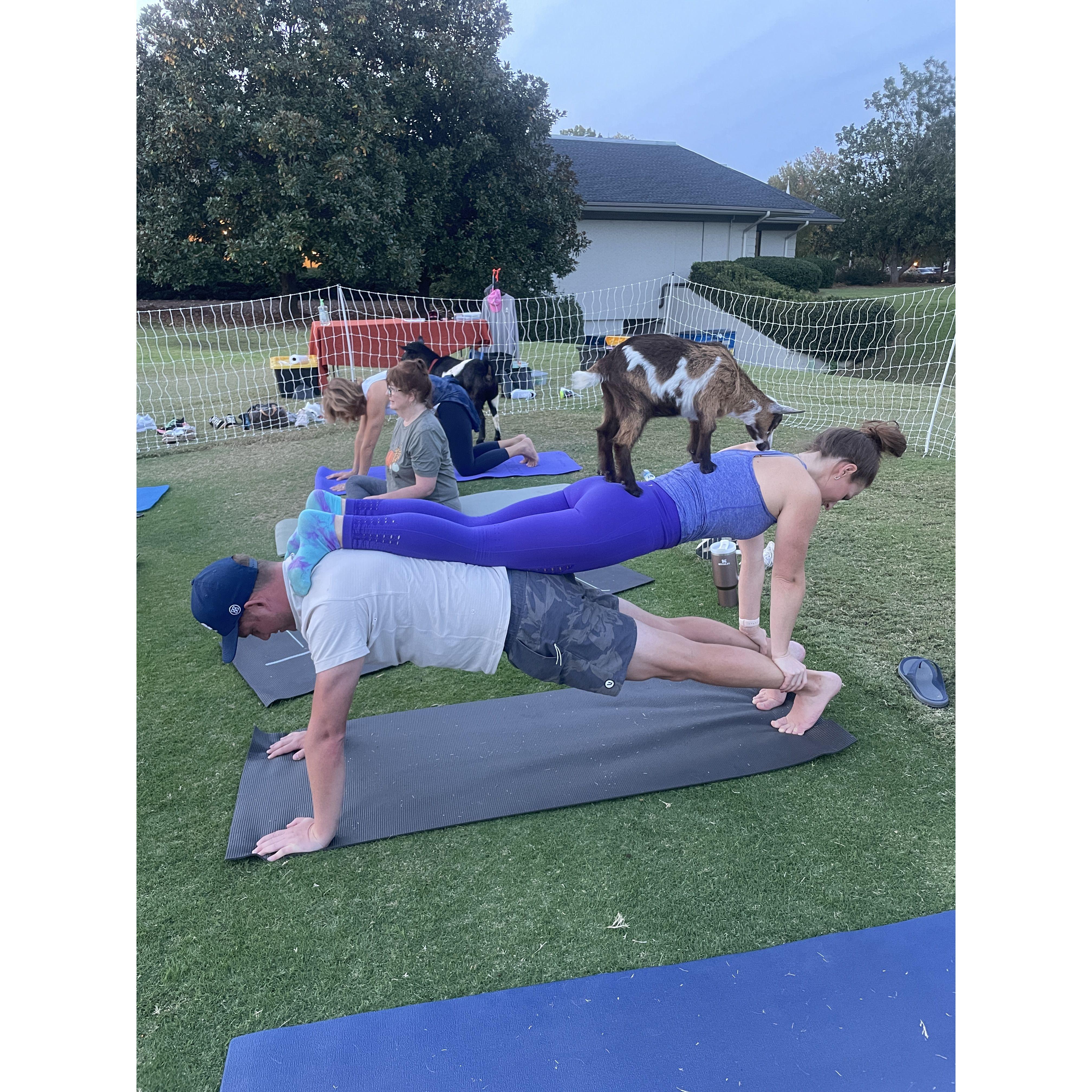 Our first and last Goat Yoga session. Charlotte, NC. October 2023