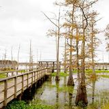 Black Bayou Lake National Wildlife Refuge