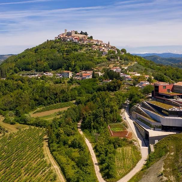 Truffle Hunting in Motovun