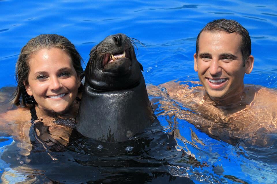 Swimming with a sea lion in Mexico!