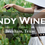 Windy Winery