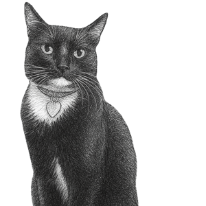 Oscar