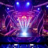 Nightlife & shows