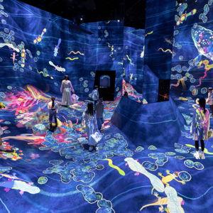 TeamLab Planets Museum
