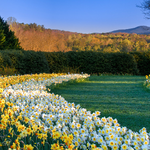 Gibbs Gardens