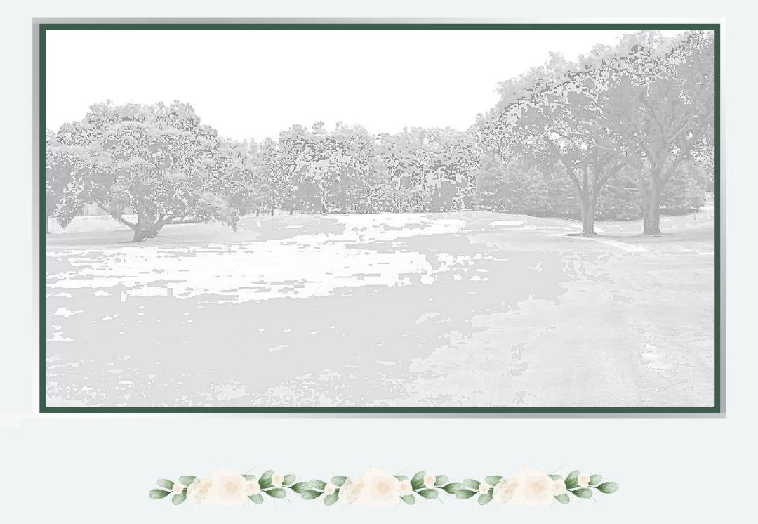 The Wedding Website of Madeline Sanchez and Adam Helfand