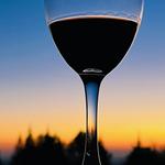 Vina Castellano Winery