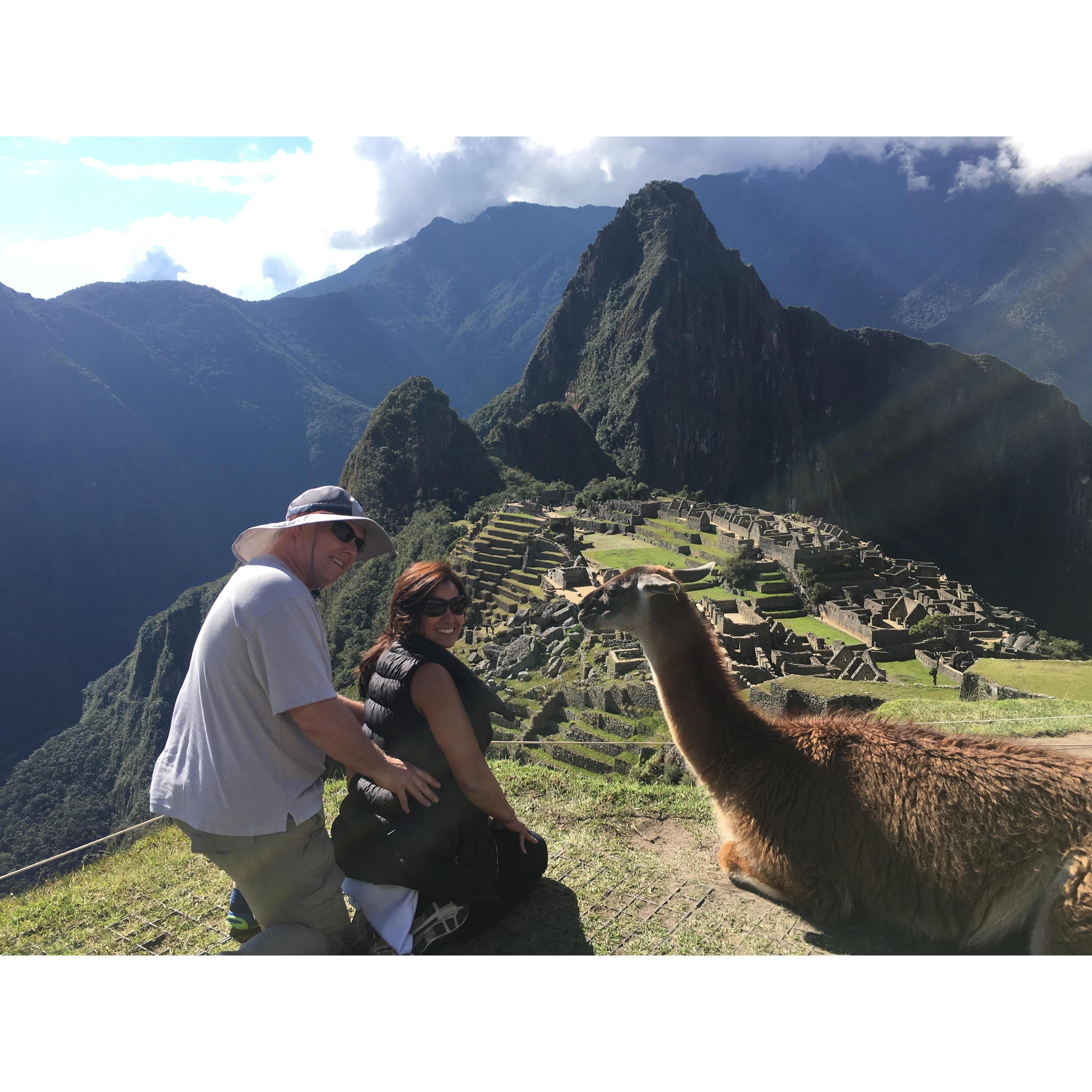 Machu Picchu … and a llama