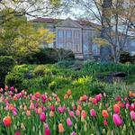 Cheekwood Gardens and Estates