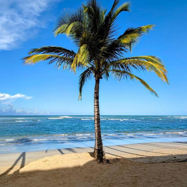 Honeymoon Resort