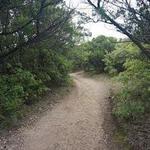 Cleburne State Park
