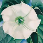 Georgia O'Keeffe Museum