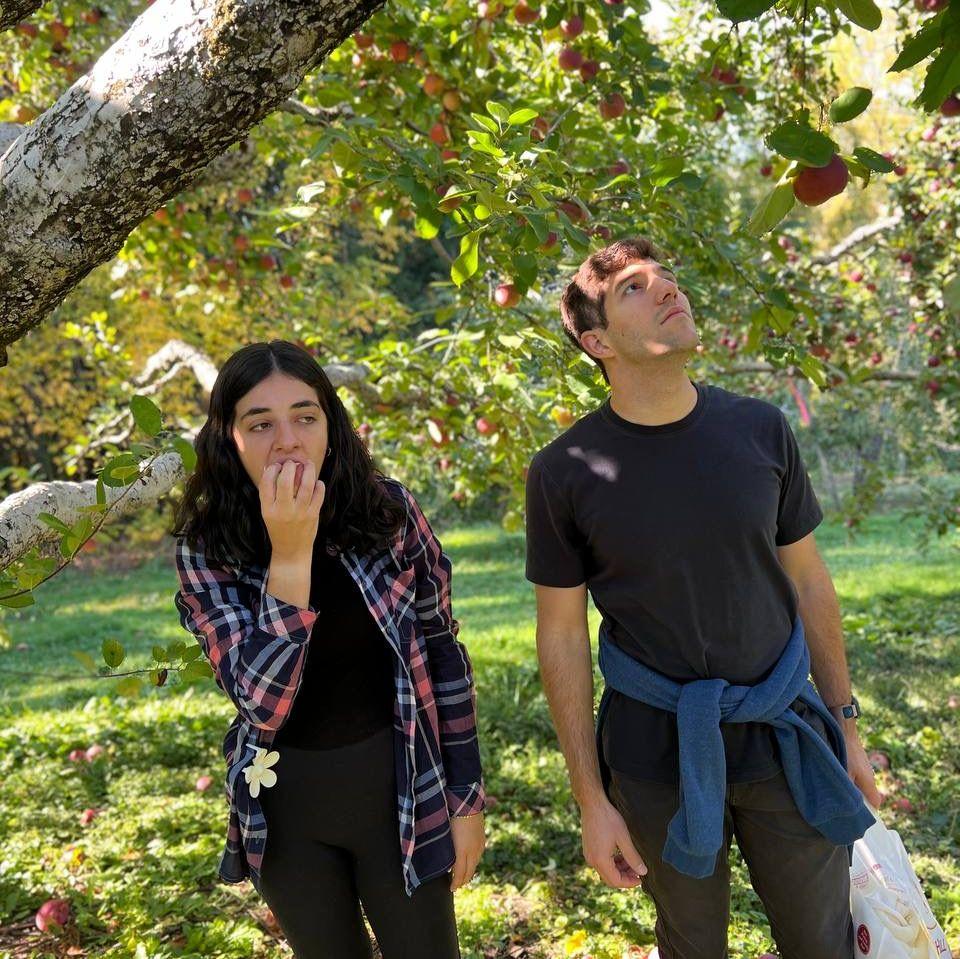 Apple Picking